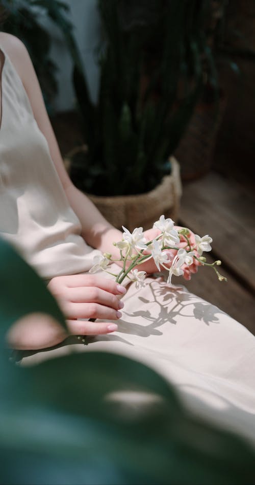 有关facebook的故事, instagram故事, monstera deliciosa的免费素材视频