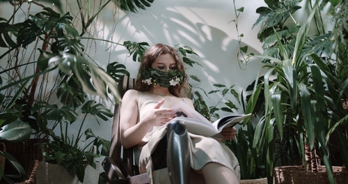有关假腿,坐,室内植物的免费素材视频