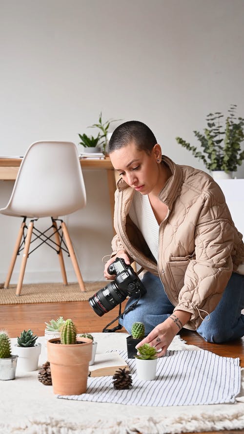 有关仙人掌植物, 休闲, 嗜好的免费素材视频