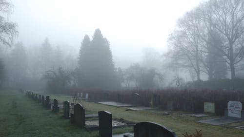 有关去世, 墓园, 墓碑的免费素材视频