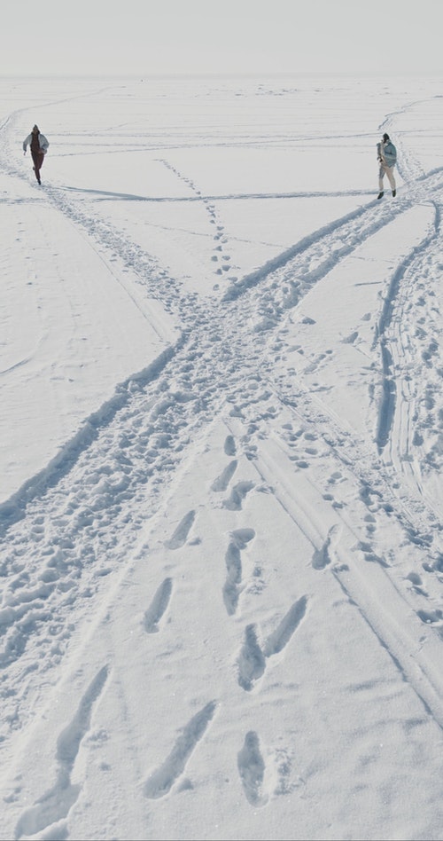 有关（顶部有小羊毛球的）羊毛帽子,フグカサコ,下雪的的免费素材视频