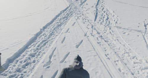 有关@户外, フグカサコ, 下雪的的免费素材视频