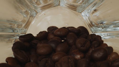 有关咖啡豆, 微距拍摄, 极端特写镜头的免费素材视频