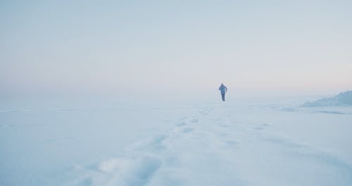 有关フグカサコ, 人, 全景的免费素材视频