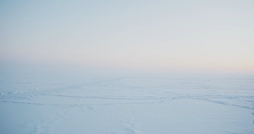 有关フグカサコ, 下雪的, 人的免费素材视频