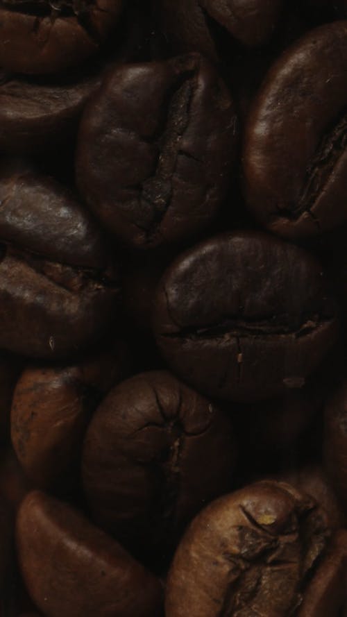 有关咖啡豆, 垂直视频, 宏观的免费素材视频