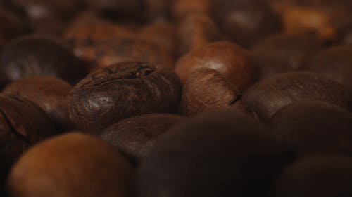 有关味道, 咖啡, 咖啡因的免费素材视频
