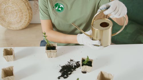 有关人, 人类, 可生物降解的免费素材视频