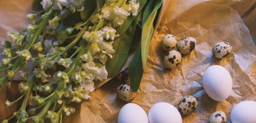 有关俯视图, 微妙, 树叶的免费素材视频