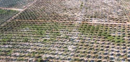 有关倾斜射击, 天性, 天空的免费素材视频