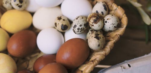 有关宏观, 客满, 棕色的鸡蛋的免费素材视频