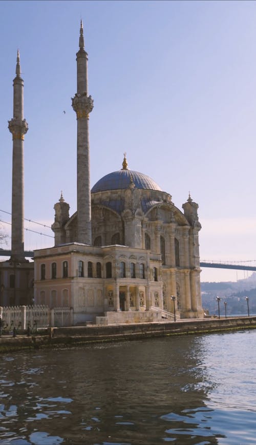 有关垂直视频, 外觀, 天性的免费素材视频