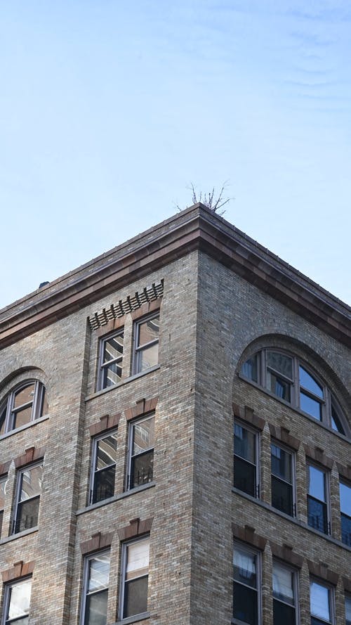 有关低角度拍摄, 垂直视频, 外观的免费素材视频