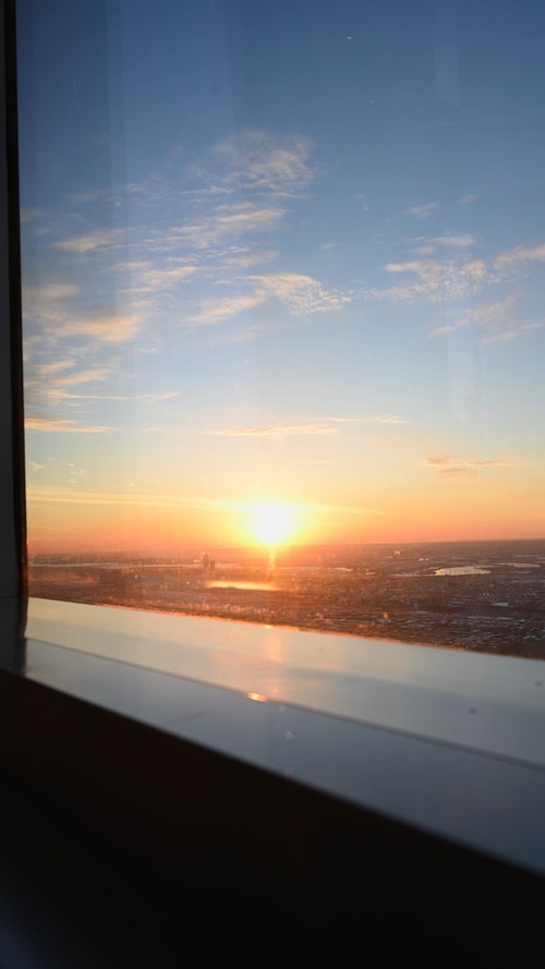 有关垂直视频,天性,性质的免费素材视频