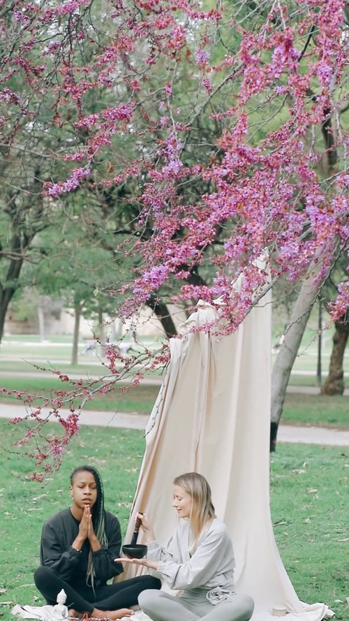 有关一起,健康,公园的免费素材视频