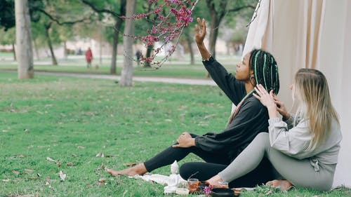 有关一起, 公园, 冷静的免费素材视频