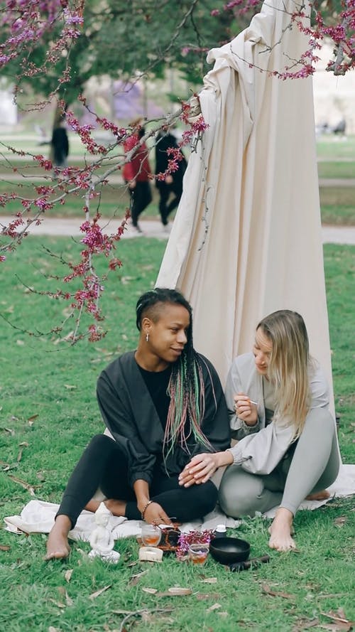 有关一对, 一起, 公园的免费素材视频