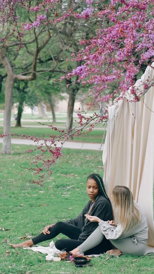 有关一起, 公园, 冷静的免费素材视频