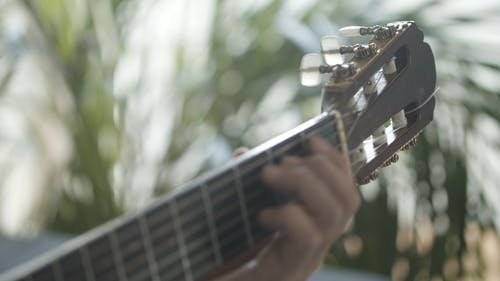 有关吉他, 吉他弦, 吉他手的免费素材视频