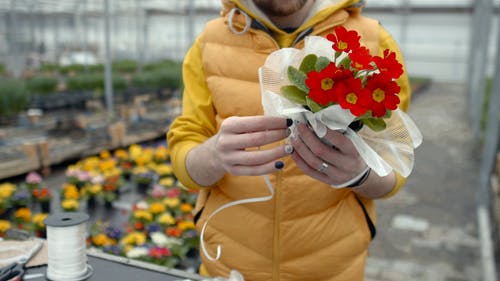 有关creating, 人, 雇员的免费素材视频