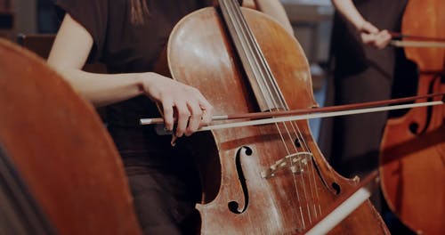 有关低音提琴, 古典乐队, 合奏的免费素材视频