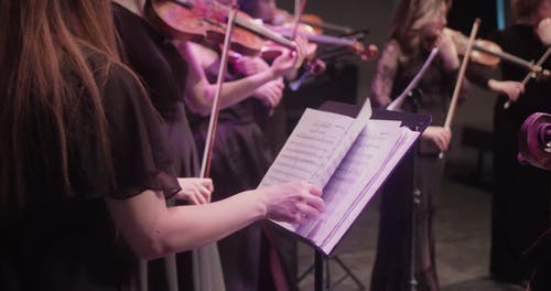 有关古典, 小提琴, 手的免费素材视频