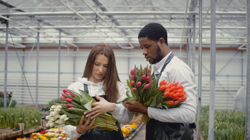 有关一束鲜花, 人, 多样化的免费素材视频
