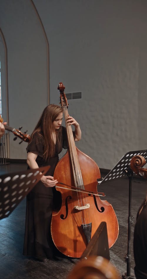 有关低音提琴, 古典乐队, 合奏的免费素材视频