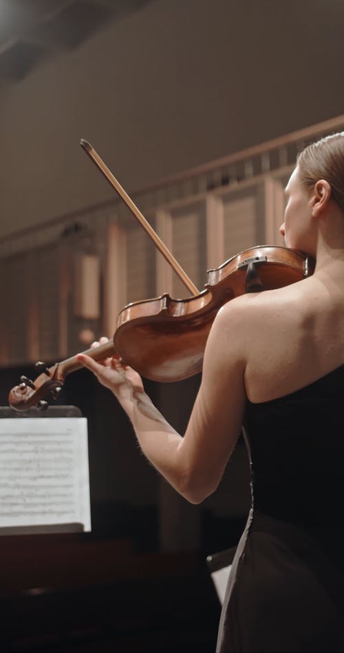 有关交响, 优雅, 古典音乐的免费素材视频