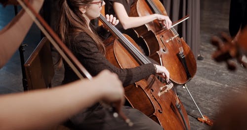 有关古典乐队, 和谐, 执行的免费素材视频