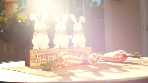 有关@户外, 光线, 创作的的免费素材视频