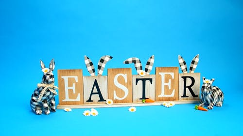 有关传统, 兔子, 复活节的免费素材视频
