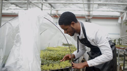 有关人, 工厂, 微笑的免费素材视频