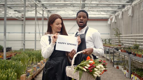 有关@户外, 围裙, 女性的免费素材视频