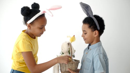 有关兔子玩具, 兔子耳朵, 创作的的免费素材视频
