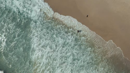 有关冲浪板, 在沙滩上, 招手的免费素材视频