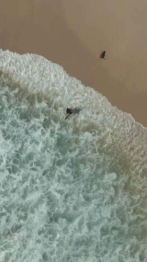 有关冲浪板, 在沙滩上, 垂直视频的免费素材视频