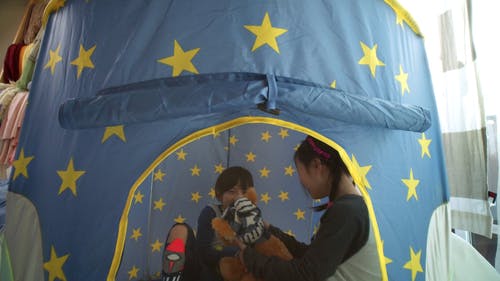 有关兄弟, 勘探, 可爱的免费素材视频