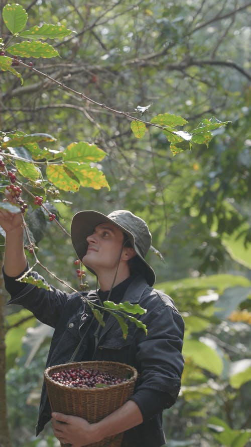 有关人, 垂直视频, 天性的免费素材视频