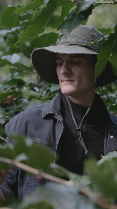 有关人, 咖啡爱好者, 垂直视频的免费素材视频