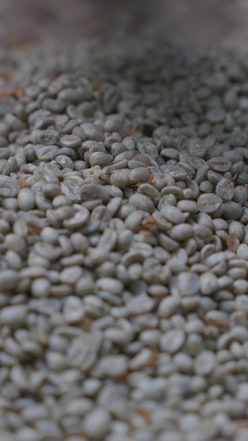 有关人, 咖啡豆, 垂直视频的免费素材视频