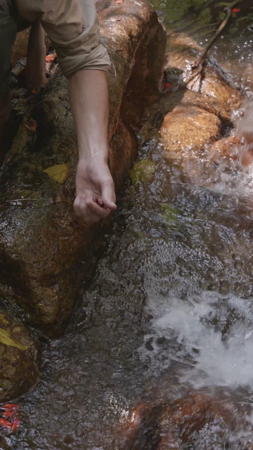 有关人, 家伙, 利益的免费素材视频