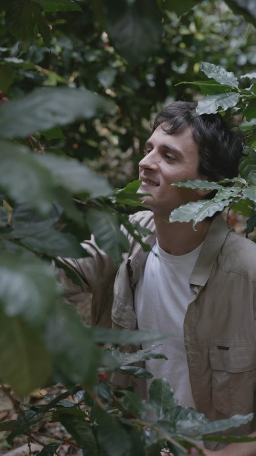 有关人, 家伙, 垂直视频的免费素材视频