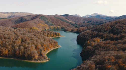 有关下落, 公园, 原本的免费素材视频