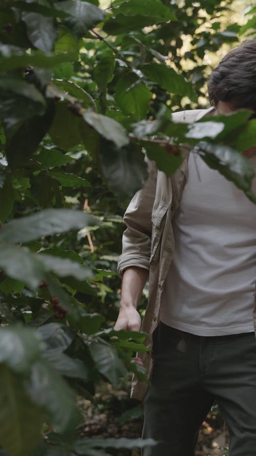 有关人, 咖啡, 坐的免费素材视频