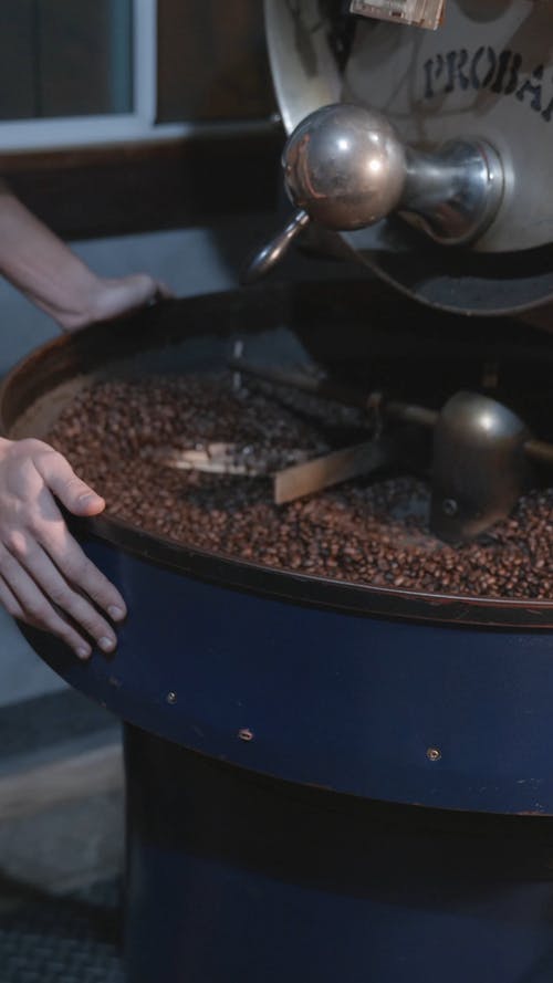 有关咖啡烘焙, 咖啡烘焙师, 咖啡种子的免费素材视频