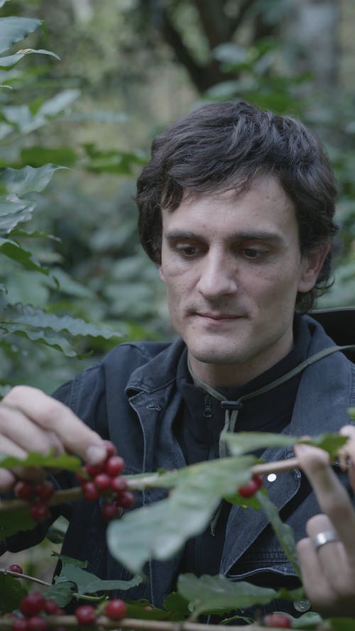 有关人, 垂直视频, 增长的免费素材视频