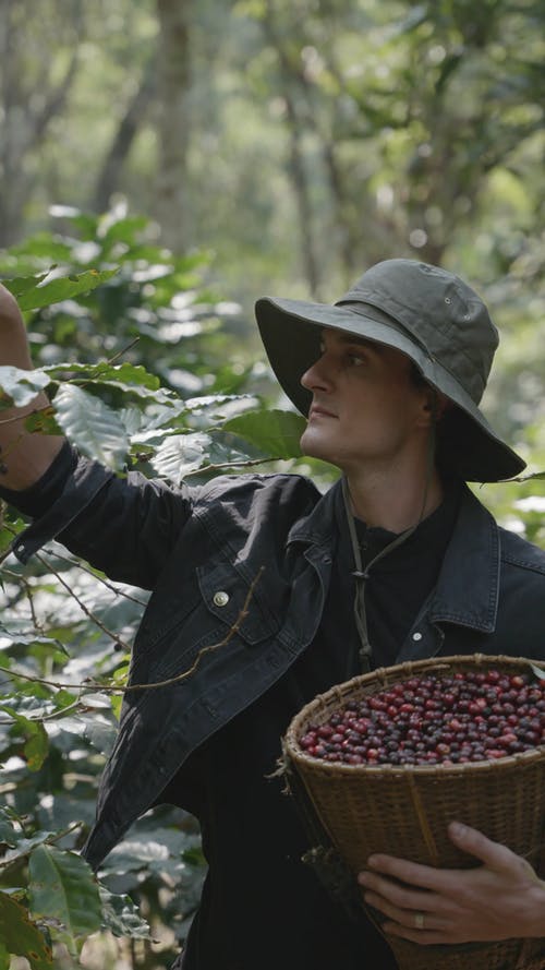 有关人, 垂直视频, 天性的免费素材视频