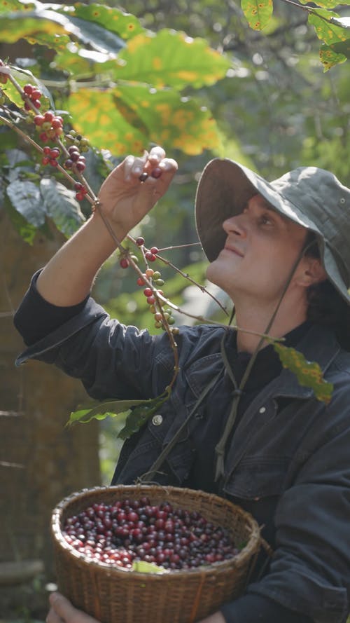 有关人, 垂直视频, 天性的免费素材视频