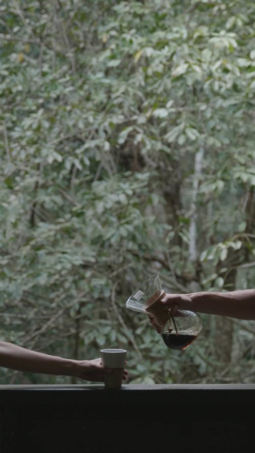 有关反对光明, 咖啡, 咖啡杯的免费素材视频